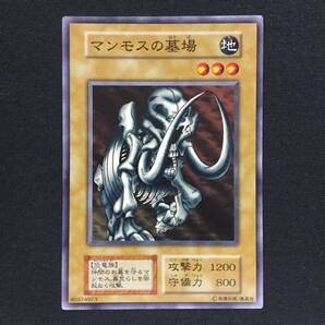 マンモスの墓場 遊戯王 初期 YuGiOh Mammoth Graveyard