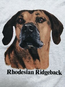 断捨離!レアT多数出品中!90s米国製ビンテージ『ローデシアン・リッジバック 犬 アート プリント Tシャツ シングルステッチ』DOG イヌ