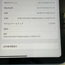 docomo アップル iPad 第10世代 WiFi+Cellular 256GB A2757 MQ6U3J/A ブルー SIMロック解除済_画像7