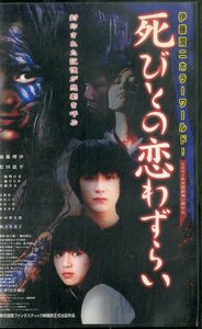 H00021025/VHSビデオ/松田龍平「死びとの恋わずらい」