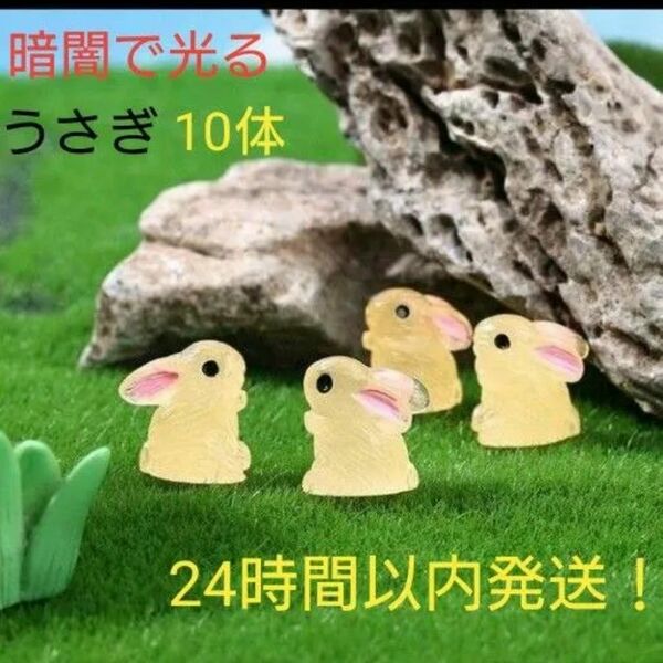 暗闇で光る うさぎ　10体