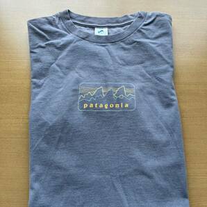 USA製 patagonia beneficial T's Ssize 半袖Tシャツ パタゴニア の画像10