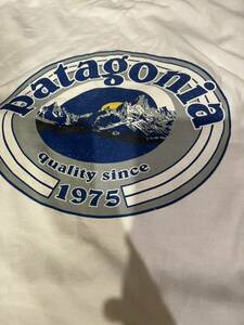 USA製 patagonia beneficial T's Lsize 半袖Tシャツ パタゴニア 