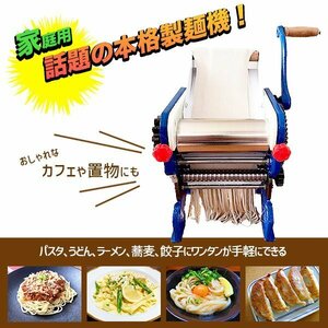 製麺機 パスタマシン 自家製麺 ヌードルメーカー 丸ごと洗える 手動 丸麺 平麺 頑丈 手打ちパスタ 手打ち麺 自家製めん レトロ 家庭用 製麺