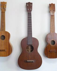  carriage less most height sound quality, volume guarantee Martin ukulele tenor reverse side Logo 1920*s latter term ~30 period most the first period 3 year repair guarantee martin ukulele Tenor mahogany 1T