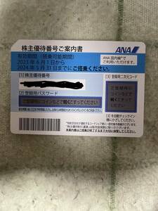 ANA 株主優待券