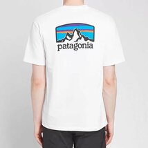 1000円スタート　パタゴニア patagonia Tシャツ　半袖　丸首　背中ロゴ　コットン　シンプル　男女兼用　S-3XL　サイズ選択可能　TT149_画像1