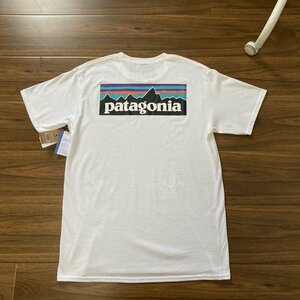 1000円スタート　パタゴニア patagonia Tシャツ　半袖　丸首　背中ロゴ　男女兼用　S-2XL　サイズ選択可能　56-60cm　TT6