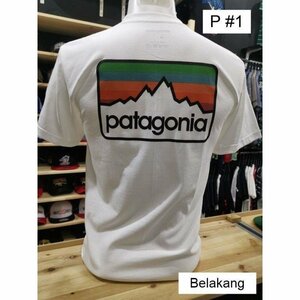 パタゴニア patagonia Tシャツ　半袖　丸首　イラスト　文字　コットン　男女兼用　XS-3XL　サイズ選択可能　TT195