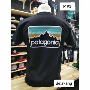 パタゴニア patagonia Tシャツ　半袖　丸首　イラスト　文字　コットン　男女兼用　XS-3XL　サイズ選択可能　TT196