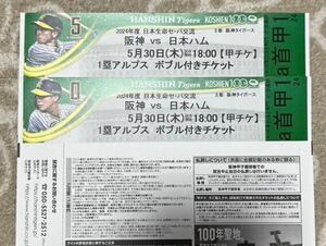 5/30 Hanshin Tigers против Nippon Hambobble Head 1st Base Alps 2 -я пара Ханшин Кошиен стадион