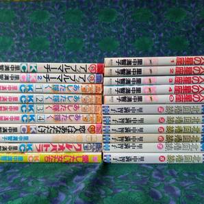 里中満智子 アップルマーチ　あした輝く　北回帰線/1巻・欠品　蝶の記憶　狩人の星座 21冊 　おまけ 