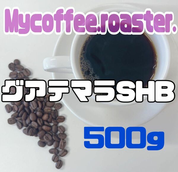 自家焙煎コーヒー豆　グアテマラ　SHB ハイロースト　500g