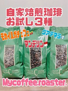 自家焙煎コーヒー豆　３種お試し飲み比べセット　各種200g 計600g