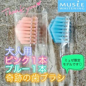 【新品】奇跡の歯ブラシ 大人用 ピンク & ブルー ミュゼ限定モデル 公式正規品〔2本セット〕