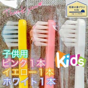 【新品】奇跡の歯ブラシ 子供用 カラフル アソート 乳歯・仕上げ磨き用 公式正規品〔3本セット〕