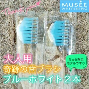 【新品】奇跡の歯ブラシ 大人用 ブルーホワイト ミュゼ限定モデル 公式正規品〔2本セット〕