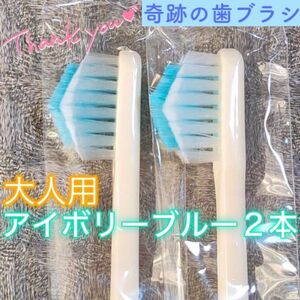 【新品】奇跡の歯ブラシ 大人用 アイボリーブルー 公式正規品〔2本セット〕