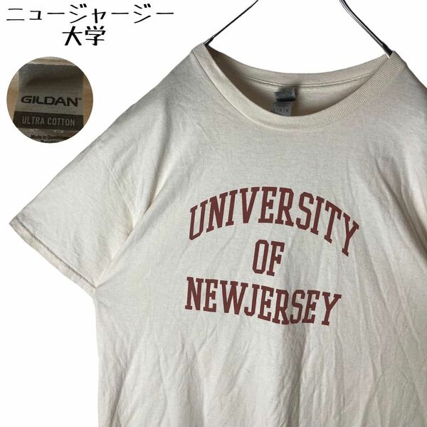 ニュージャージー大学 カレッジロゴ GILDAN 古着Tシャツ ゆったり