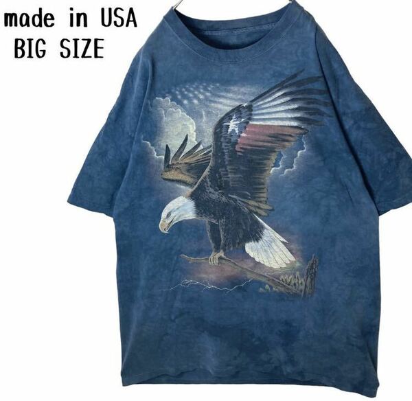 激レア古着！USA製コンドル×星条旗ビッグプリントタイダイTシャツ超ビッグサイズ
