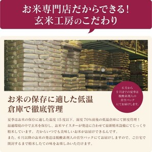 米 お米 30kg ブレンド米 訳あり 真心米 送料無料 小粒米の画像9