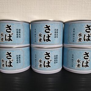 北海道 根室 藤井水産 さば水煮 6缶セット