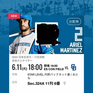 日本ハムファイターズ　セ・パ交流戦チケット