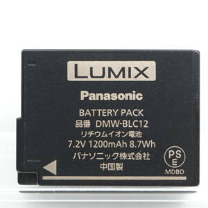 Panasonic