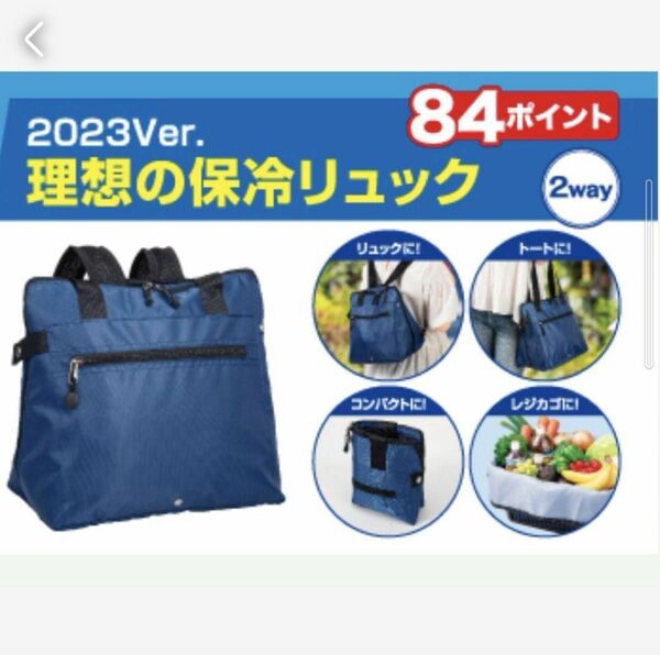 伊藤園　理想の保冷リュック　2023Ver　新品　絶対もらえるキャンペーン　麦茶　保冷リュック　保冷バッグ　トートバッグ　リュック