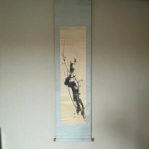 Art hand Auction [Rakuza] For use as a decoration, Osaka-based Japanese painter Okutani Shuseki, plum blossom hanging scroll, literati painting, tea ceremony utensils, Mori Kansai tea hanging scroll, 709-6, Painting, Japanese painting, Flowers and Birds, Wildlife