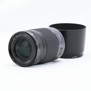 [極上品] Panasonic LUMIX G X VARIO 35-100mm/F2.8/POWER O.I.S H-HS35100 #571