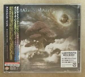 【HM/HR】 ※未開封新品　アメイジング・メイズ(AMAZING MAZE) / アメイジング・メイズ　帯付　イタリア産メロパワ　ラビリンス(LABYRINTH)