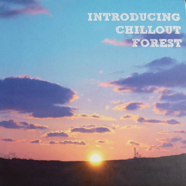 【INTRODUCING CHILLOUT FOREST】 KENICHIRO NISHIHARA/DJ CAM/DJ WHITESMITH/BLAZO/LUSRICA/YAMAAN/niha等/国内CD