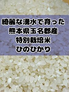 熊本県産★ヒノヒカリ白米１．８キロ★綺麗な湧き水で育った★特別栽培米