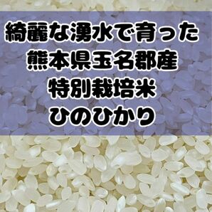 熊本県産★ヒノヒカリ白米２キロ★綺麗な湧き水で育った★特別栽培米