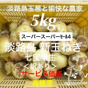 ＜訳あり＞淡路島産新玉ねぎ5kg 高糖度 新玉葱 新たまねぎ 新タマネギ