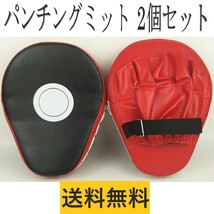 パンチングミット キックボクシング トレーニング 練習 ボクササイズ K1 空手 総合格闘技 空手 MMA ムエタイ テコンドー ストレス解消_画像1