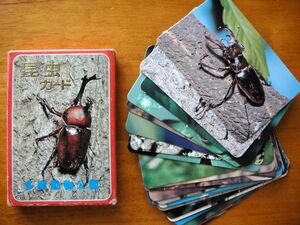 ★昭和レトロ　★多摩動物公園　昆虫カード　24枚入り　★カブトムシ　クワガタ　蝶　セミ　トンボ
