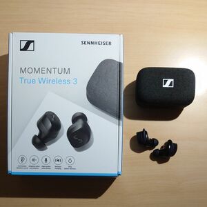 MOMENTUM True Wireless 3