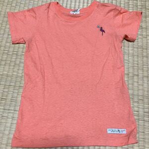 エフオーキッズ ピンク Tシャツ