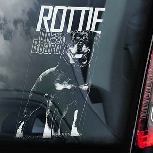 ◆ロッティー (ロットワイラー) Rottie on board@外張り カーステッカー 210 x 100mm 外貼り カー ステッカー シール@Dog D3 犬 3050