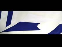 GPZ400F/750F ローソン風ライン ステッカーセット 印刷タイプ ブルー/ホワイト（紺/白）1100にも（？）外装デカール_画像3