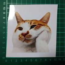 猫　ネコ　ユニーク　可愛い　動物　ペット　ステッカー　防水　転写シール　シール_画像1