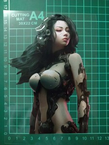 サイバーパンク　ゲーム　人造人間　ロボット　セクシーガール　ステッカー　転写シール