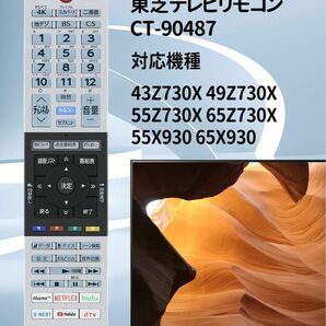 リモコン CT-90487 東芝 TOSHIBA 新品新品新品