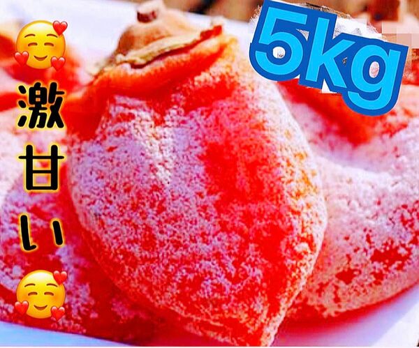 5月限定価格！大人気　とてもジューシー　訳あり　冷凍でも美味しい　甘蜜特選干柿5kg