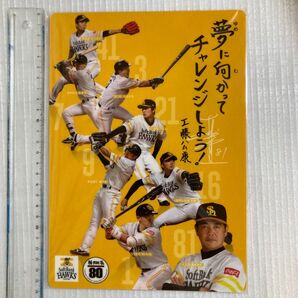 ソフトバンクホークス 下敷き