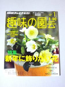 趣味の園芸 2014年1月号 新年に飾りたい花 アザレア クリスマスローズ セダム モクレン ハナミズキ　NHKテレビテキスト