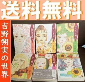 送料無料 吉野朔実 文庫6冊 記憶の技法　いたいけな瞳 全5巻　「幼女誘拐」ほか