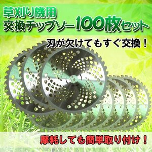 チップソー 100枚 セット 替刃 交換 刃こぼれ 刃毀れ 欠け 摩耗 軽い 軽量 草刈機 草刈り機 255mm 25.4mm 40T 刃数 zk126-100